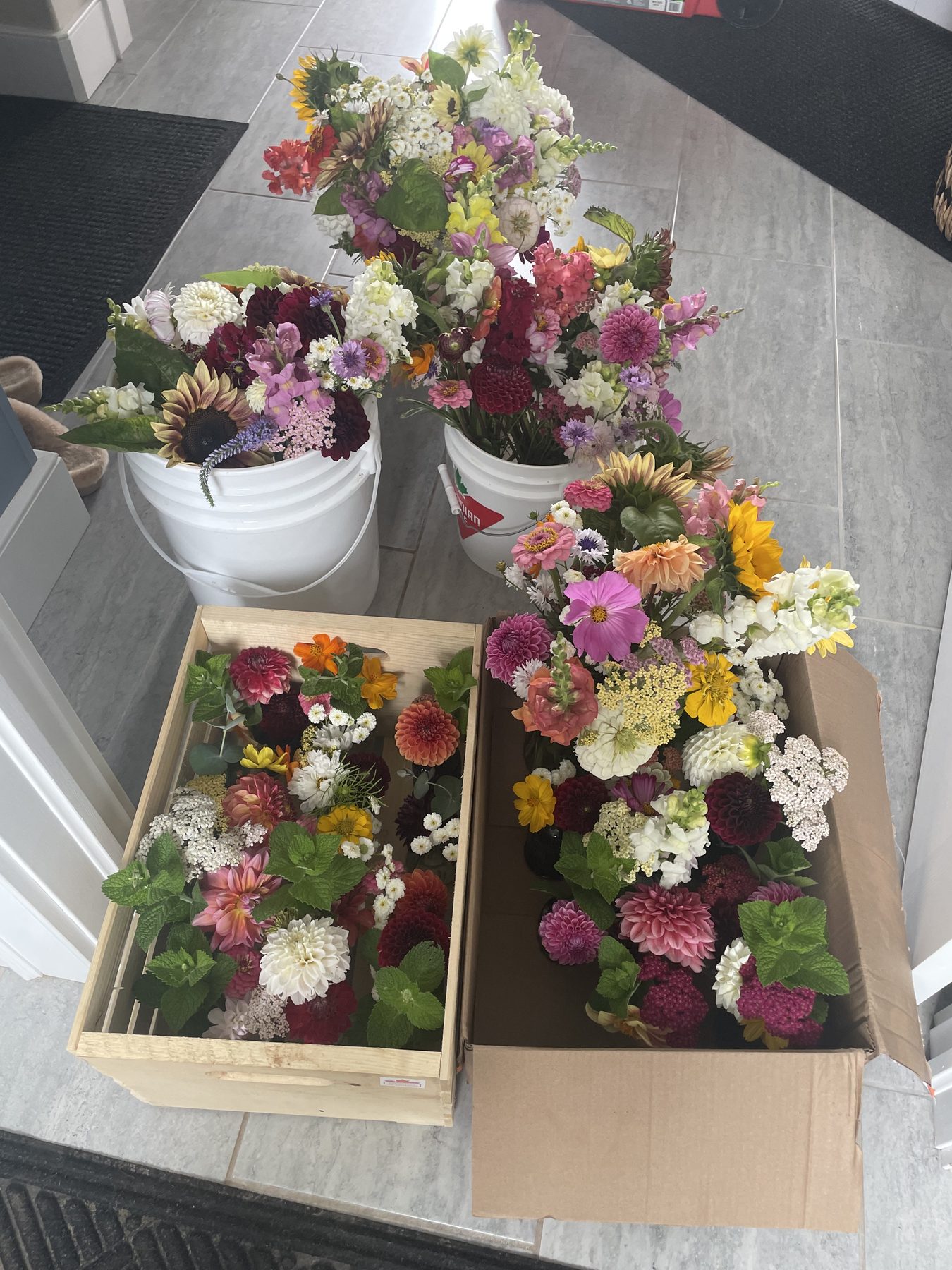 Finished garden bouquets in boxes and crates, gathered and ready to go out