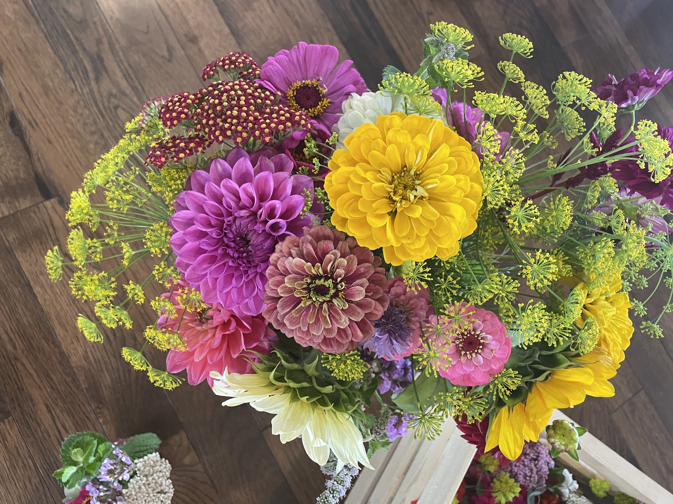 A bouquet of dahlias, zinnias and dill flowers laid on a dark wooden table, seen from above