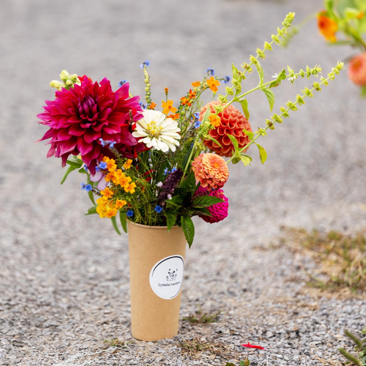 A kraft U-Pick cup with the farm's sticker, filled with dahlias and mixed garden blooms